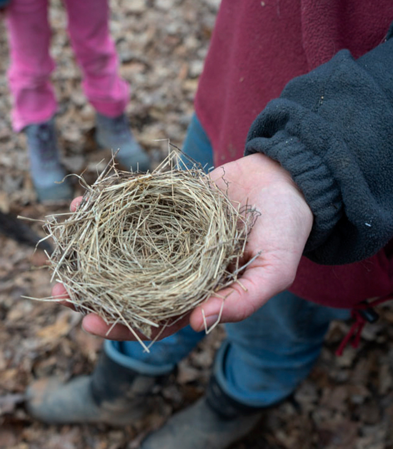 A hand holds up a small birds nest