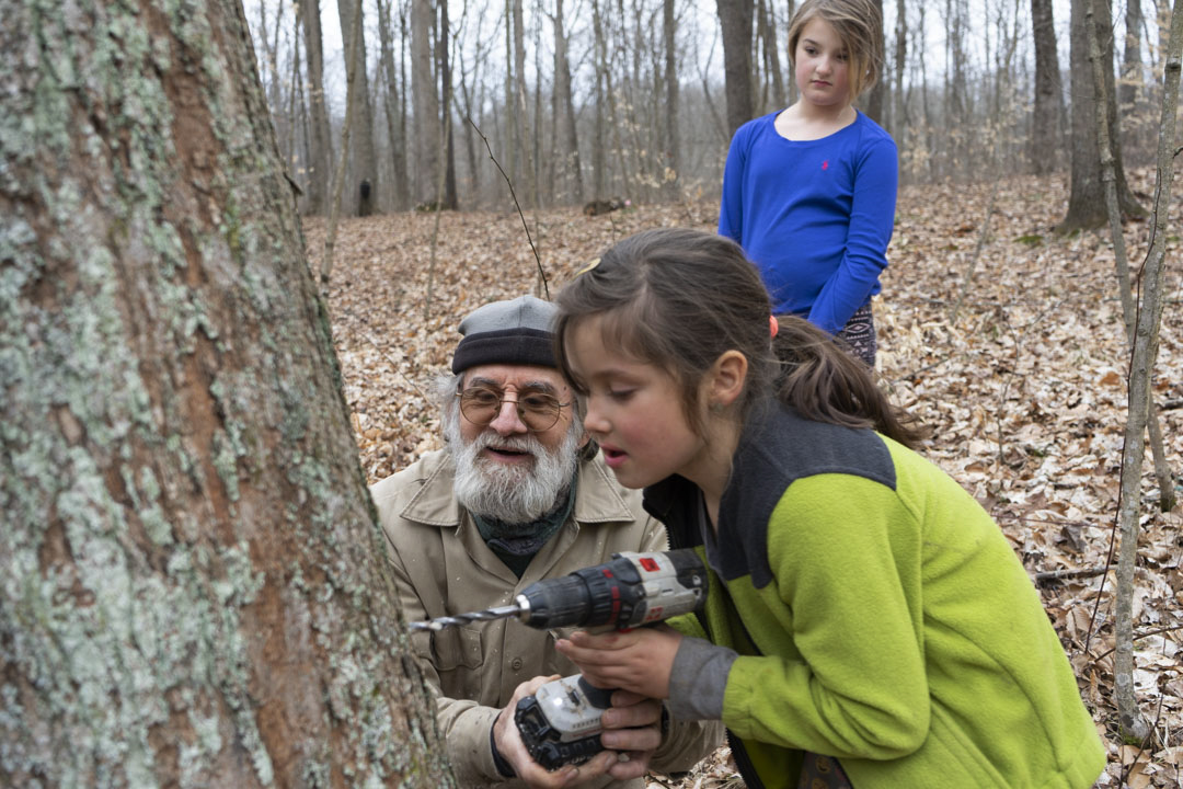 A young girl uses a drill to make a hole in a tree. A man with a beard watches and guides her work.